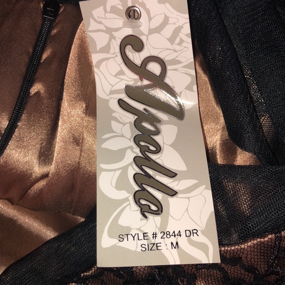 Apollo Black/Brown Lace Dress. NWT. M - Picture 8 of 8